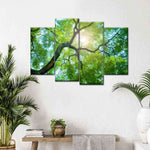 Tree Canopy Sunshine Wall Art