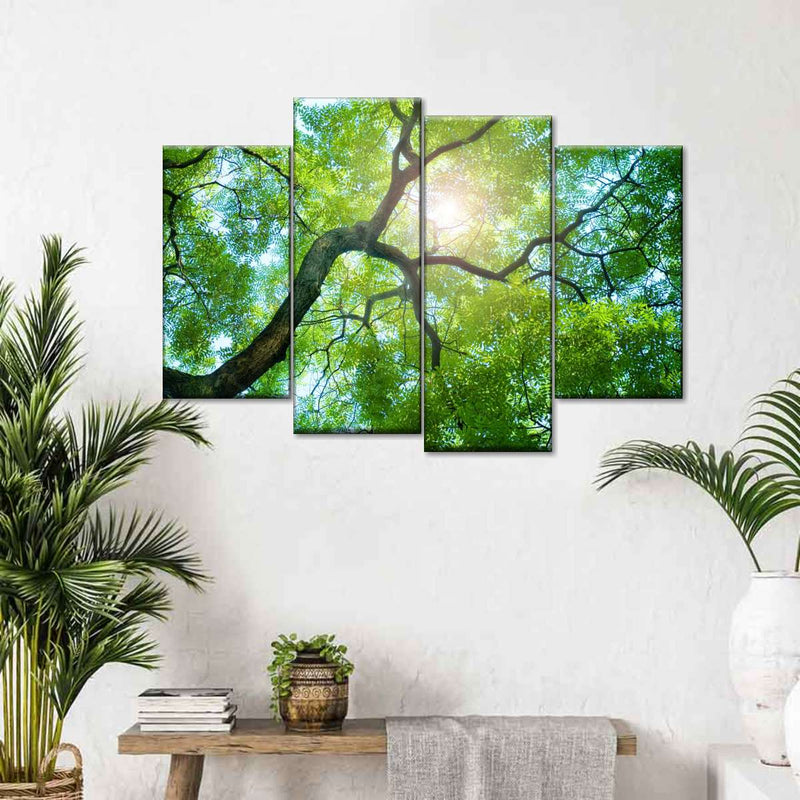 Tree Canopy Sunshine Wall Art
