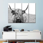Solitary Highland Cow Wall Art