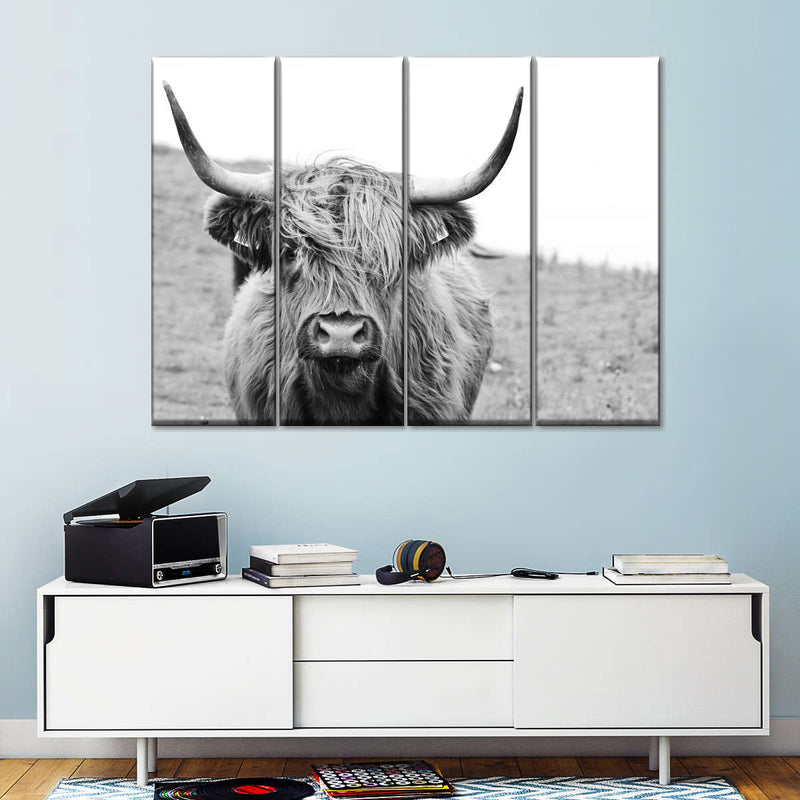 Solitary Highland Cow Wall Art