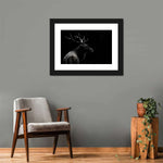 Monochrome Bull Elk Wall Art