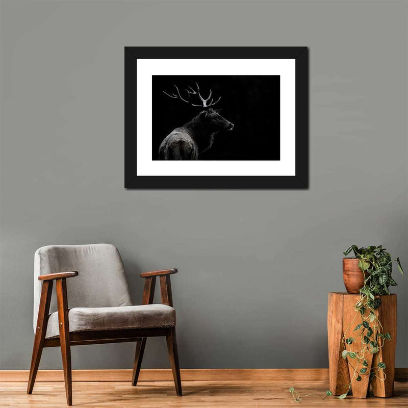 Monochrome Bull Elk Wall Art