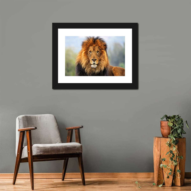 Proud Lion Wall Art