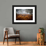 Richmond Park Deer Wall Art