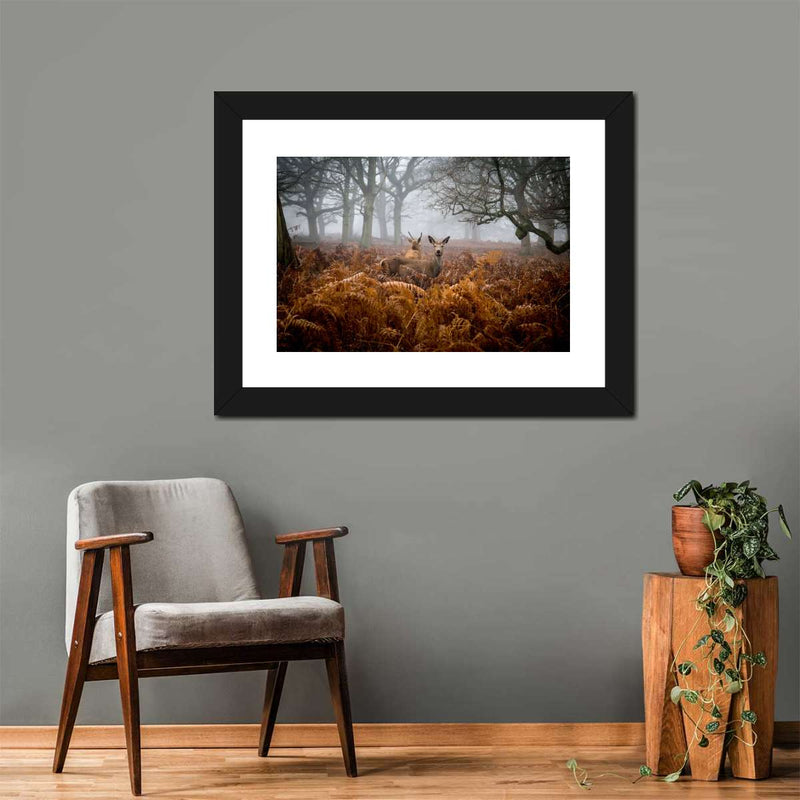 Richmond Park Deer Wall Art