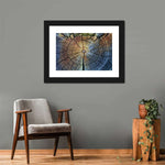 Tree Trunk Pattern Wall Art