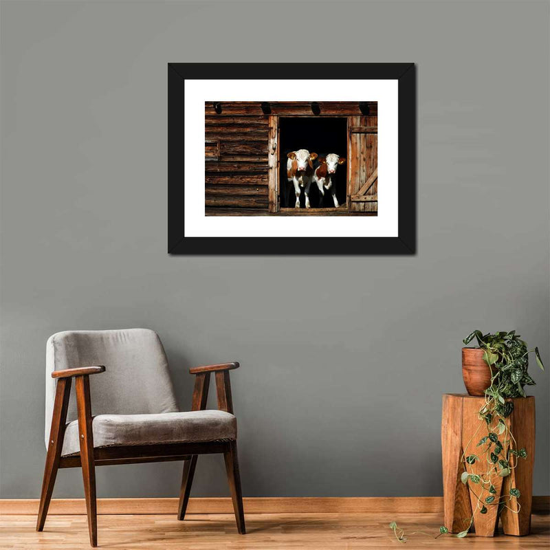 Pair Of Cows Wall Art