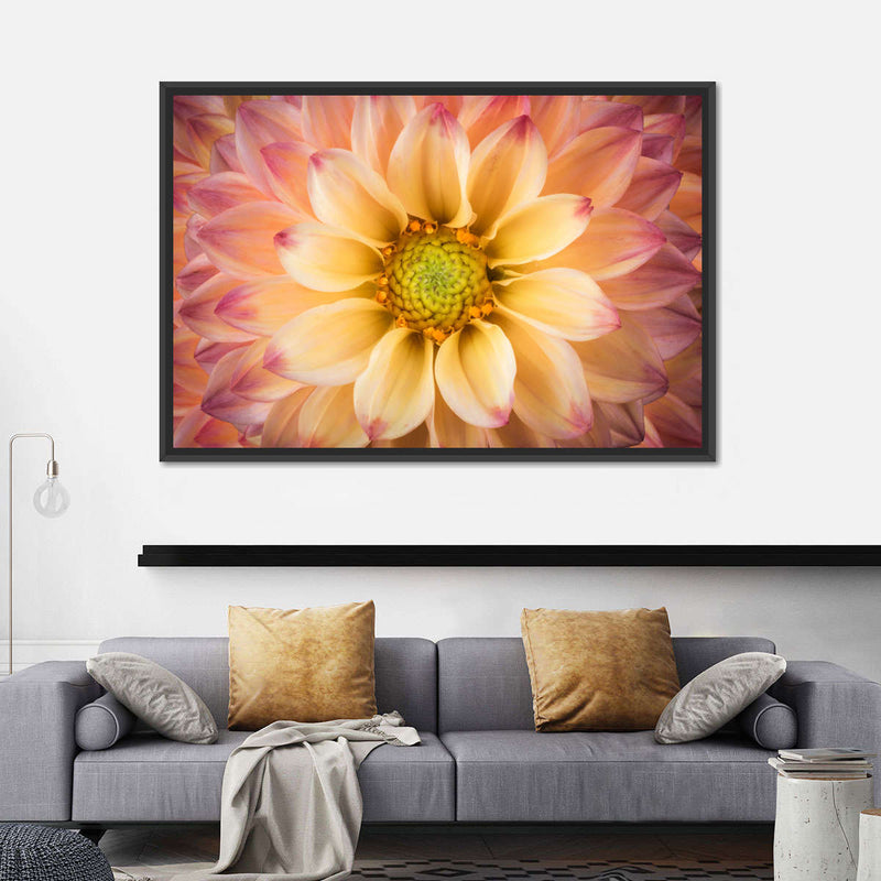 Lovely Dahlia Wall Art