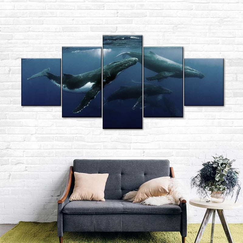 Humpback Whales Wall Art