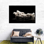 White Wolves Wall Art