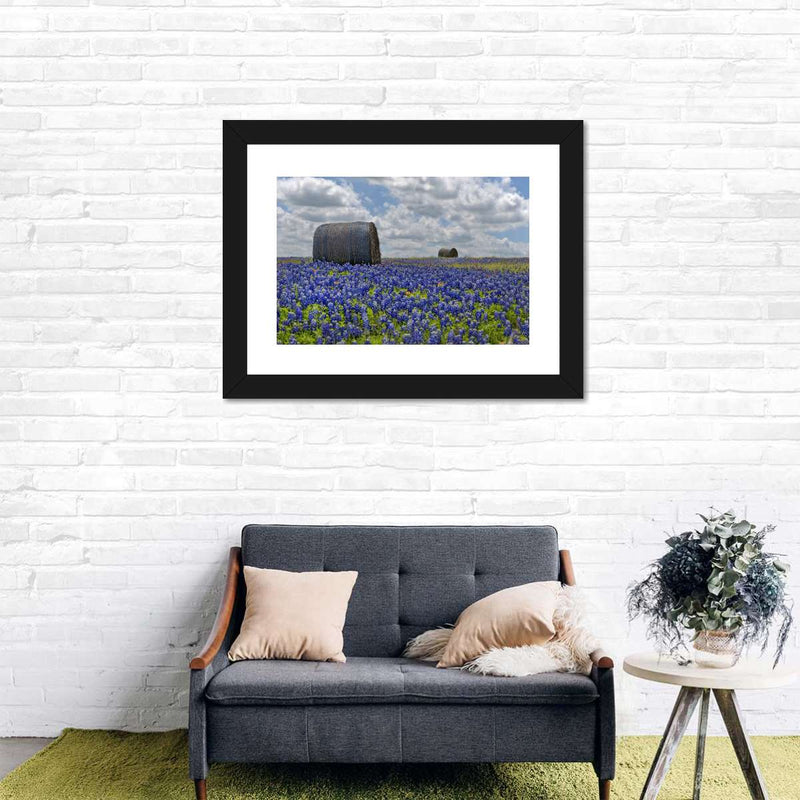 Texas Bluebonnets Wall Art