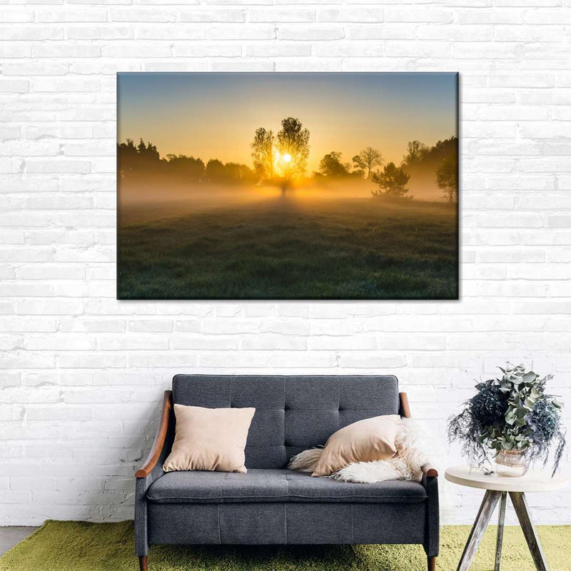 Misty Meadow At Sunrise Wall Art