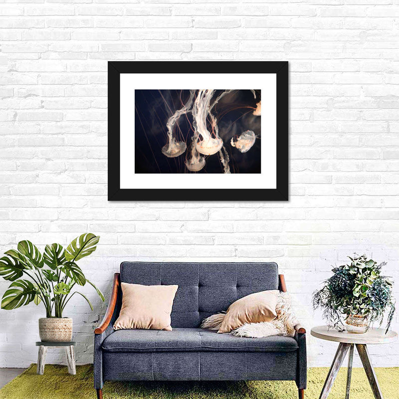 Light Of Jellyfish Wall Art