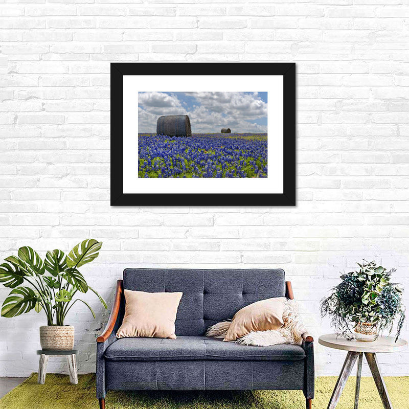 Texas Bluebonnets Wall Art