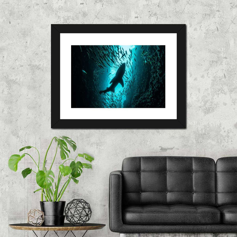 Shark Depth Wall Art