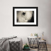 White Horse Eye Wall Art