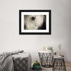 White Horse Eye Wall Art