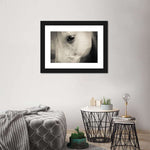 White Horse Eye Wall Art