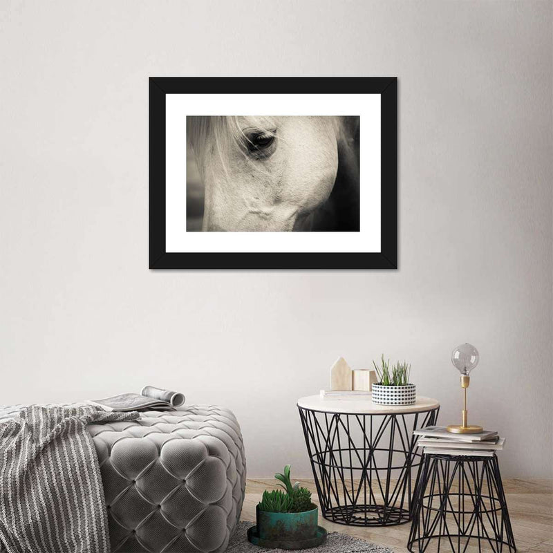 White Horse Eye Wall Art