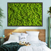 Green Reindeer Moss Wall Art