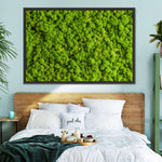 Green Reindeer Moss Wall Art