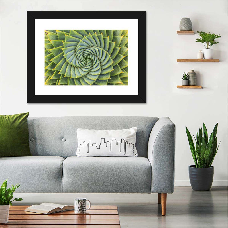 Spiral Succulent Wall Art