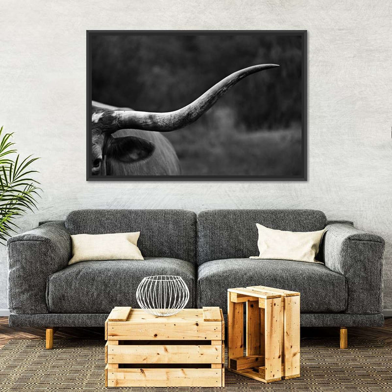 Texas Longhorn Cattle Wall Art