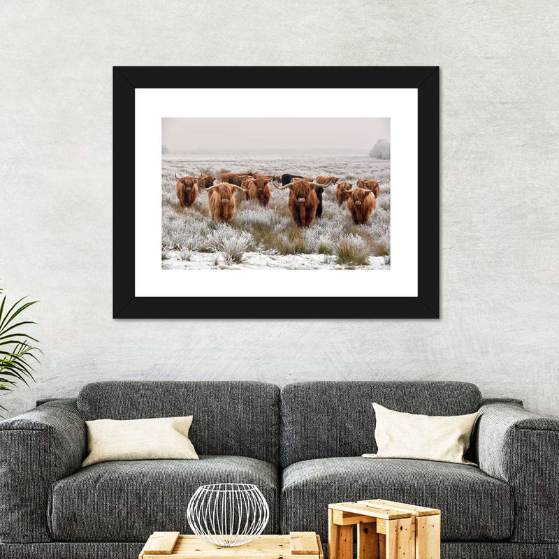 Winter Highland Cows Wall Art