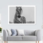 Winter Horse Wall Art
