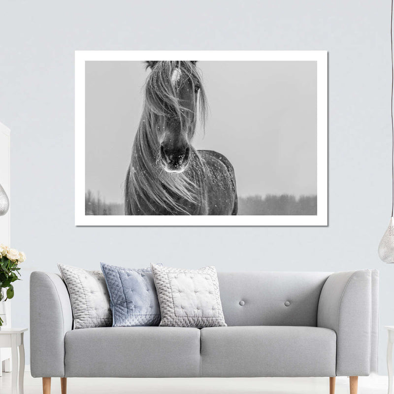Winter Horse Wall Art