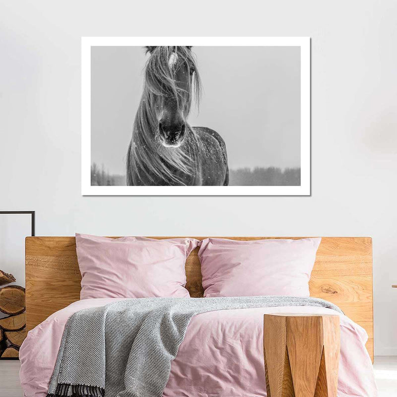 Winter Horse Wall Art