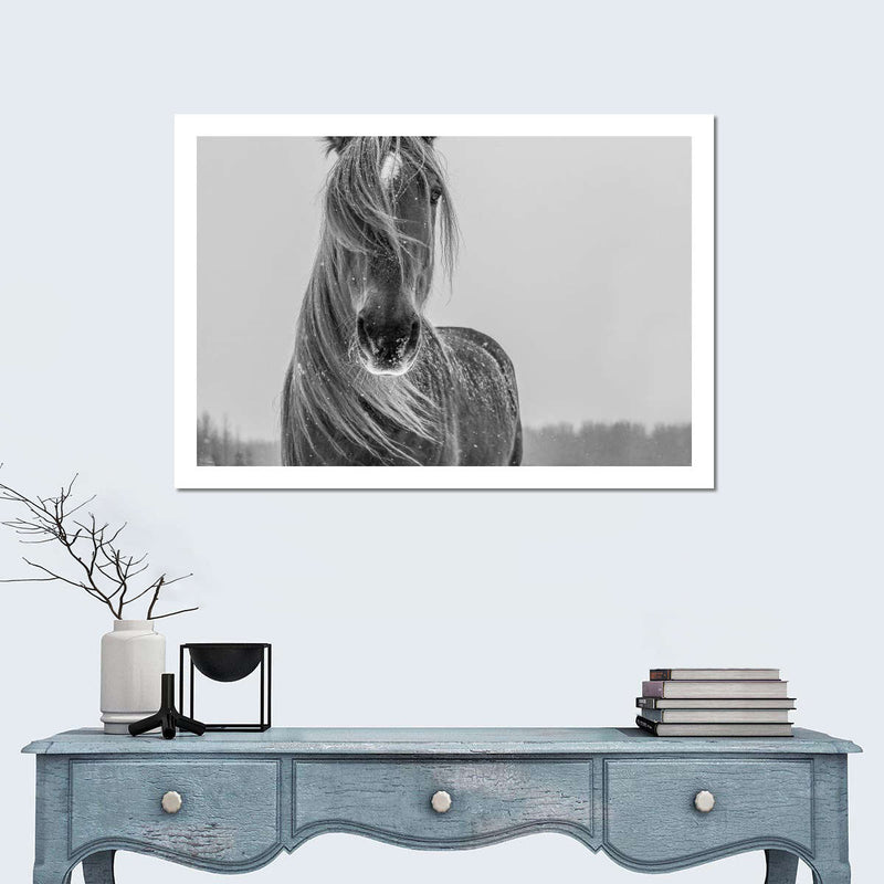 Winter Horse Wall Art