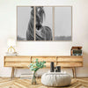 Winter Horse Wall Art