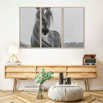 Winter Horse Wall Art