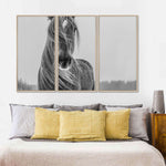 Winter Horse Wall Art