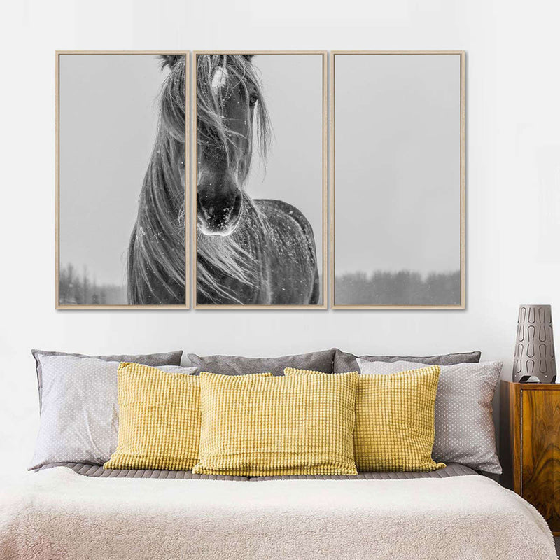 Winter Horse Wall Art