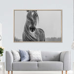 Winter Horse Wall Art
