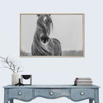 Winter Horse Wall Art