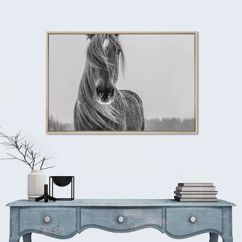 Winter Horse Wall Art