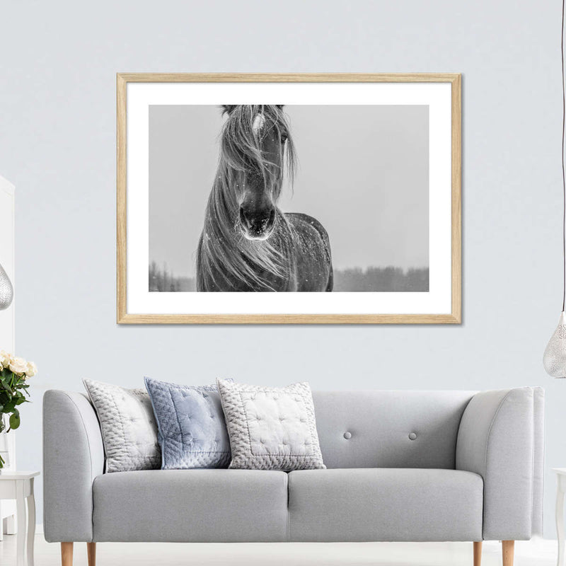 Winter Horse Wall Art