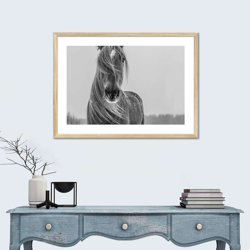 Winter Horse Wall Art