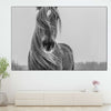 Winter Horse Wall Art