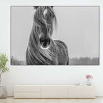 Winter Horse Wall Art