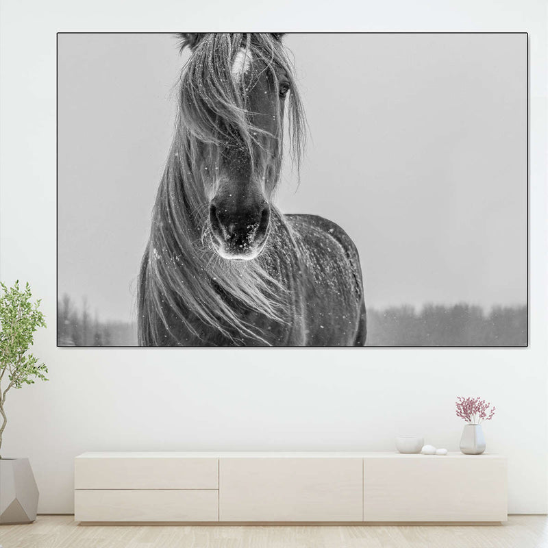 Winter Horse Wall Art