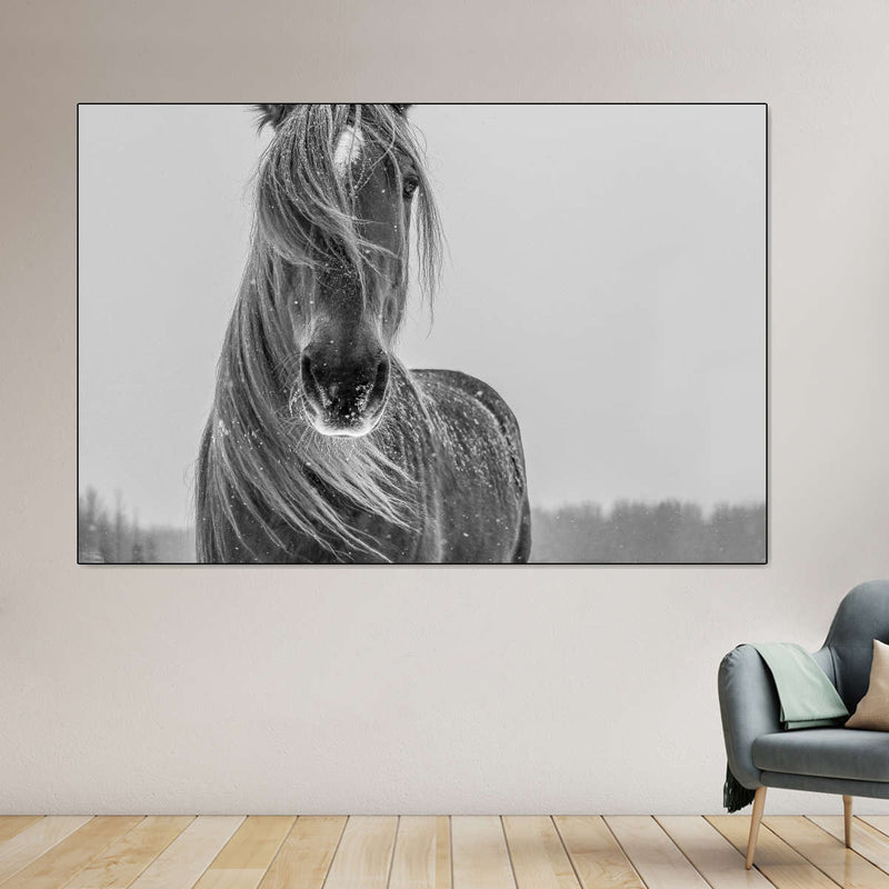 Winter Horse Wall Art