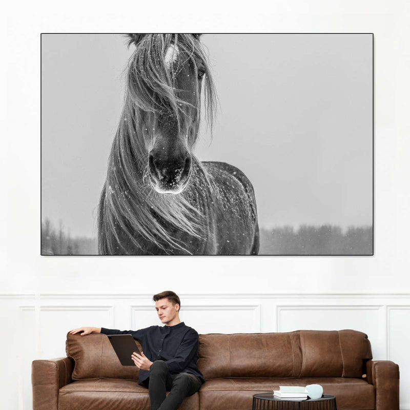Winter Horse Wall Art