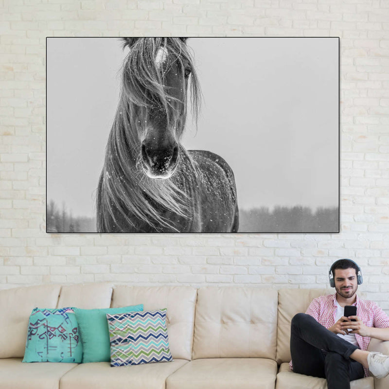 Winter Horse Wall Art