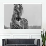 Winter Horse Wall Art