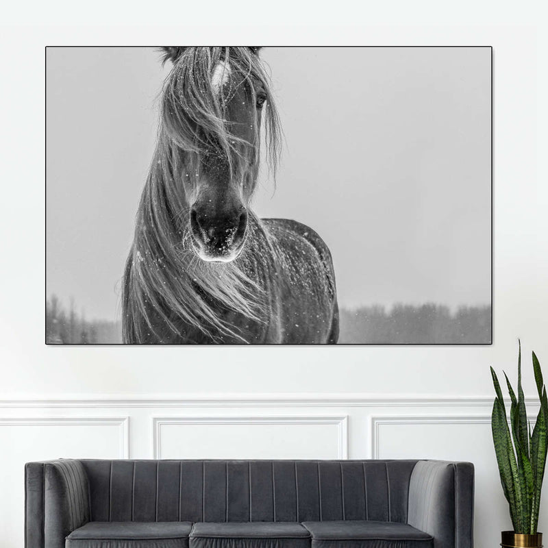 Winter Horse Wall Art