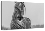 Winter Horse Wall Art